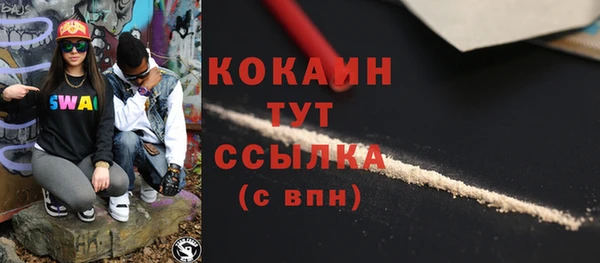 сатива Гусев