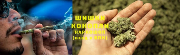 сатива Гусев