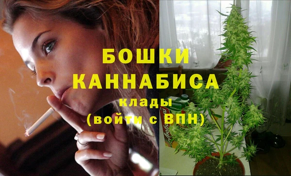 амф Дмитровск