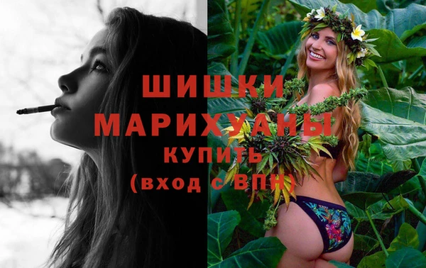 сатива Гусев