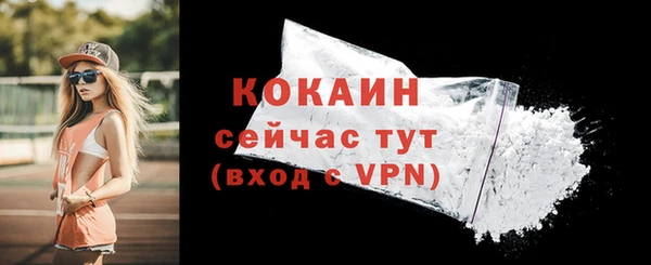 сатива Гусев