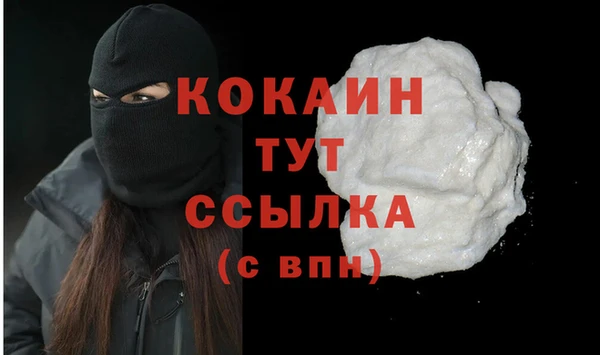 сатива Гусев