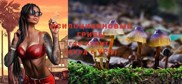сатива Гусев