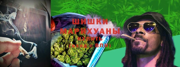 сатива Гусев