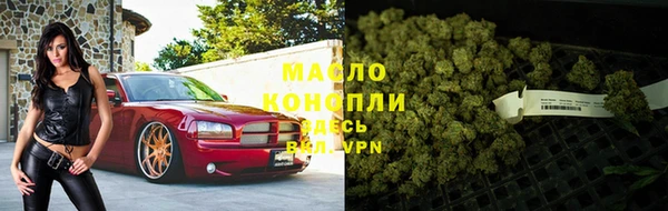 СК Дмитров