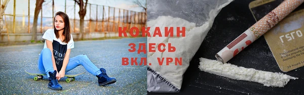 сатива Гусев
